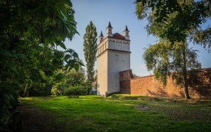 Fragmenty murów miejskich